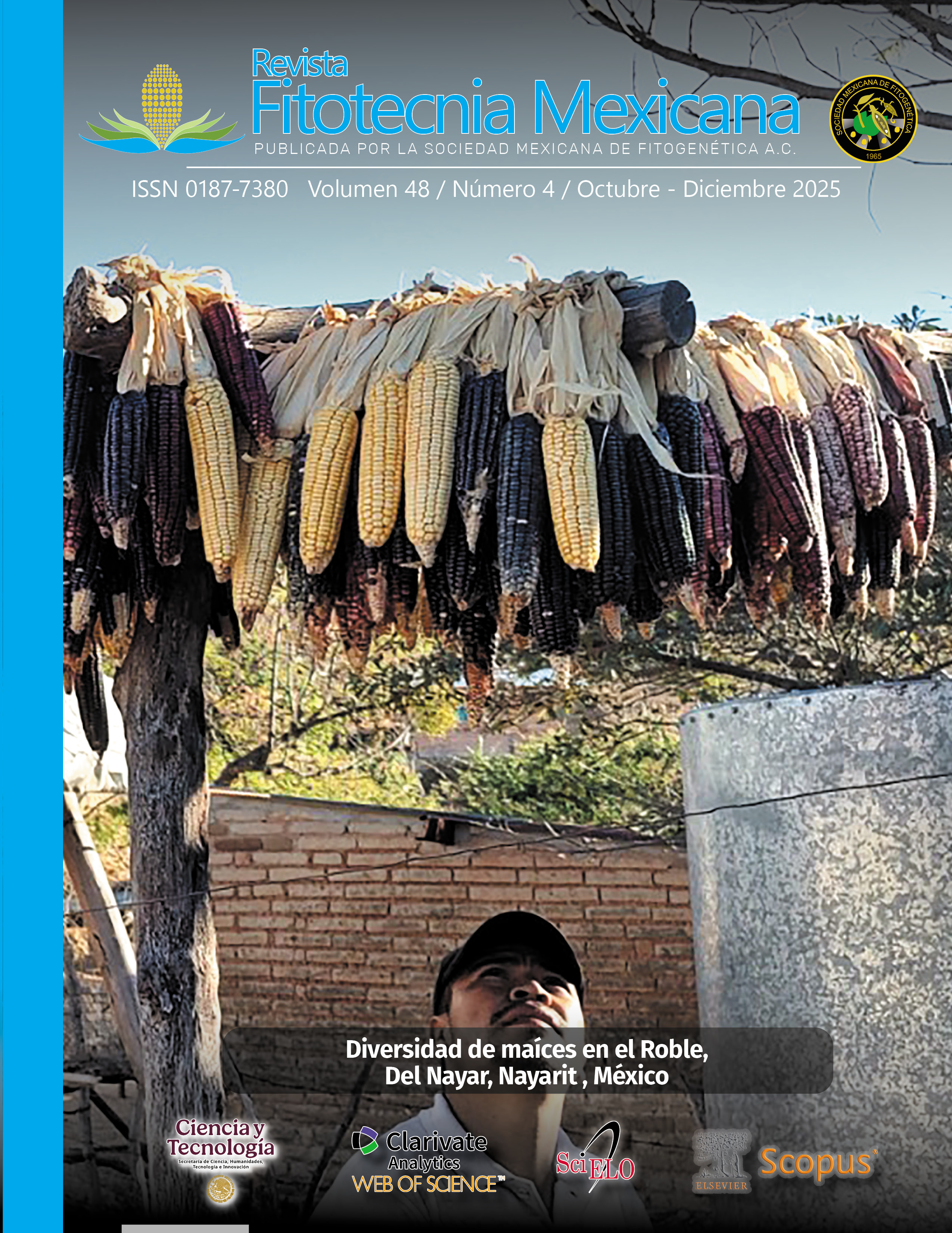 RED DE VALOR DEL ÁRBOL RAMÓN (Brosimum alicastrum Swartz) EN LA ...